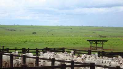 Farm For Sale in Marica, Brazil