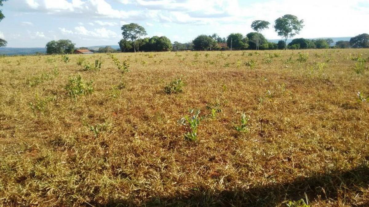 Picture of Farm For Sale in Marica, Rio De Janeiro, Brazil