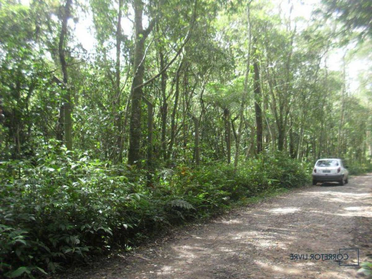 Picture of Residential Land For Sale in Ribeirao Pires, Sao Paulo, Brazil