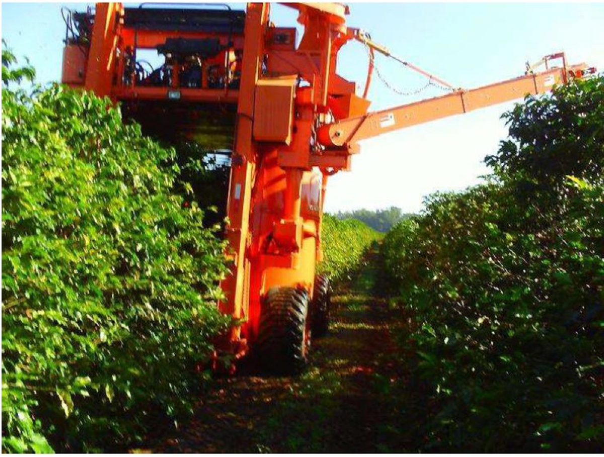 Picture of Farm For Sale in Marica, Rio De Janeiro, Brazil