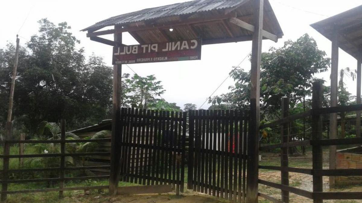 Picture of Farm For Sale in Amazonas, Amazonas, Brazil