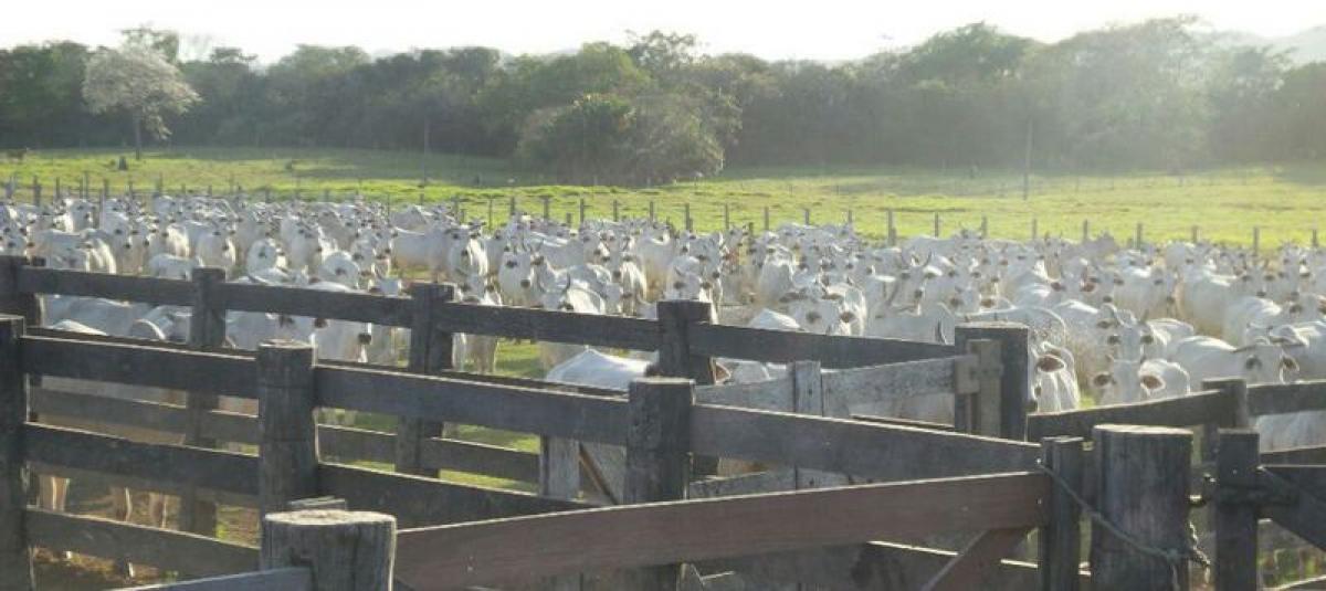 Picture of Farm For Sale in Marica, Rio De Janeiro, Brazil