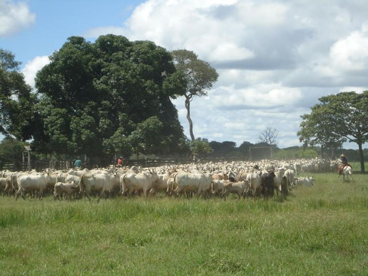 Picture of Farm For Sale in Marica, Rio De Janeiro, Brazil