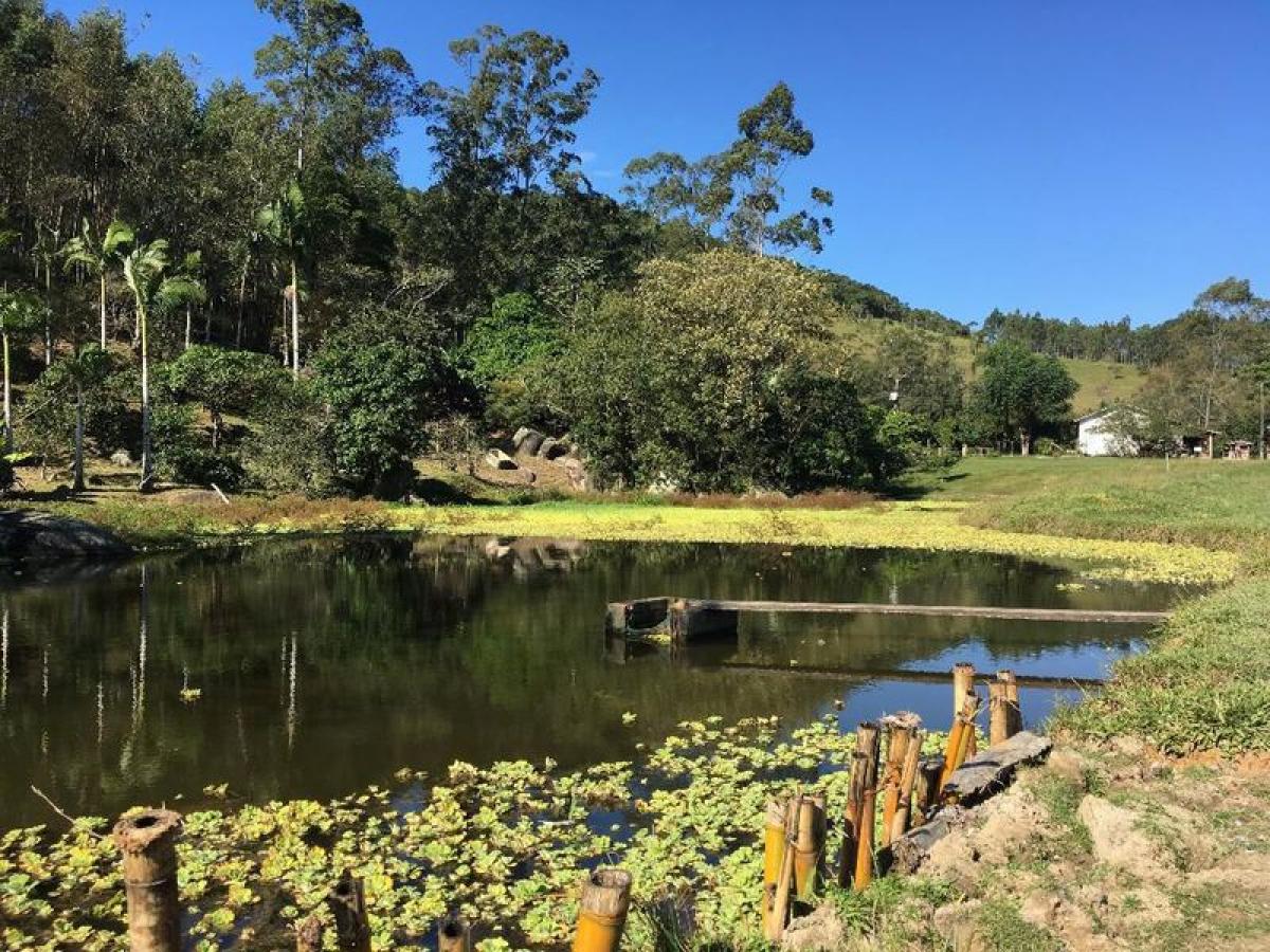 Picture of Farm For Sale in Santa Catarina, Santa Catarina, Brazil