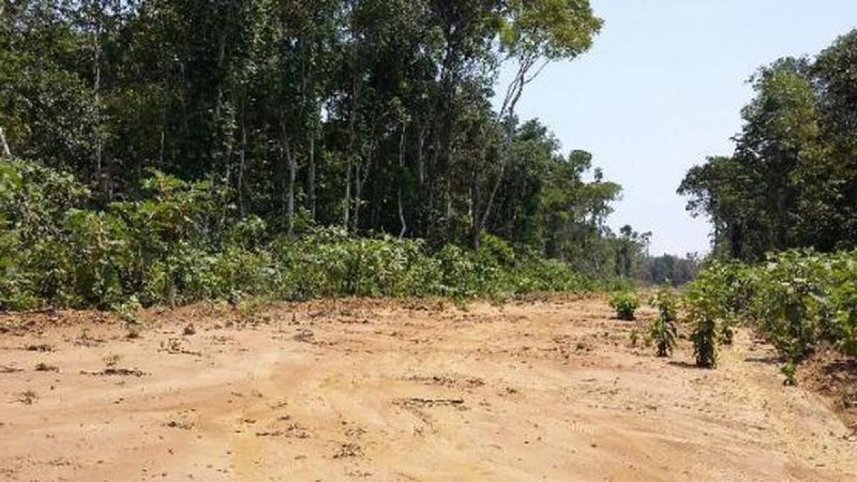 Picture of Residential Land For Sale in Amazonas, Amazonas, Brazil