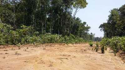 Residential Land For Sale in Amazonas, Brazil