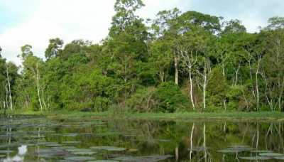 Farm For Sale in Amazonas, Brazil