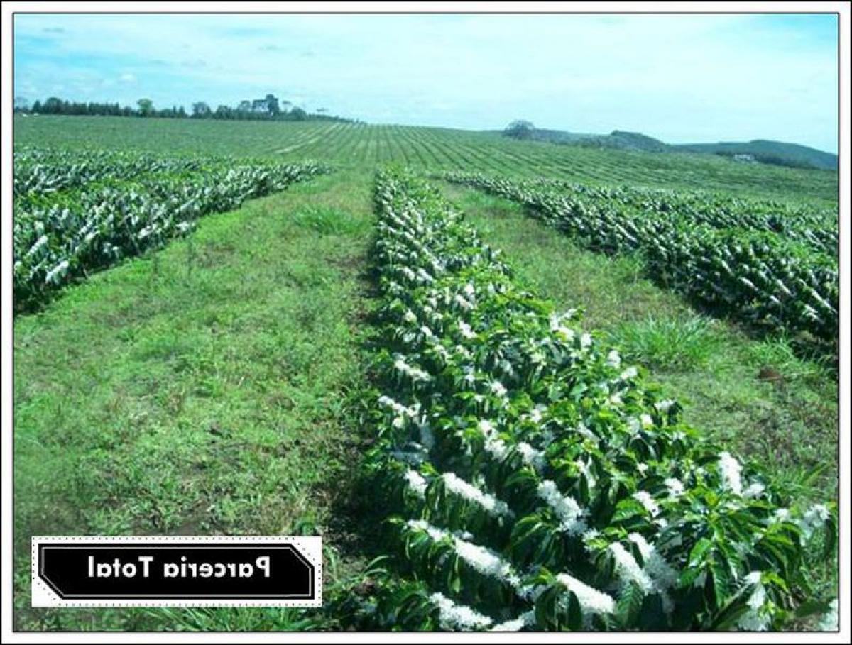 Picture of Farm For Sale in Marica, Rio De Janeiro, Brazil