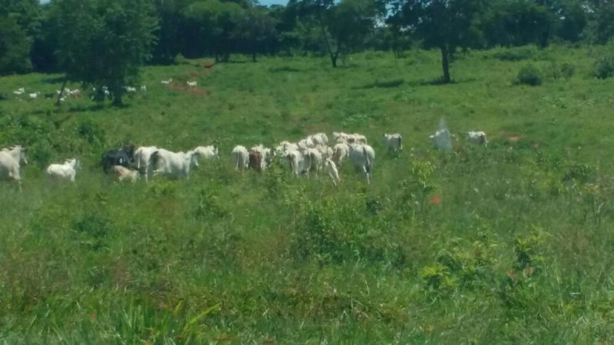 Picture of Farm For Sale in Marica, Rio De Janeiro, Brazil