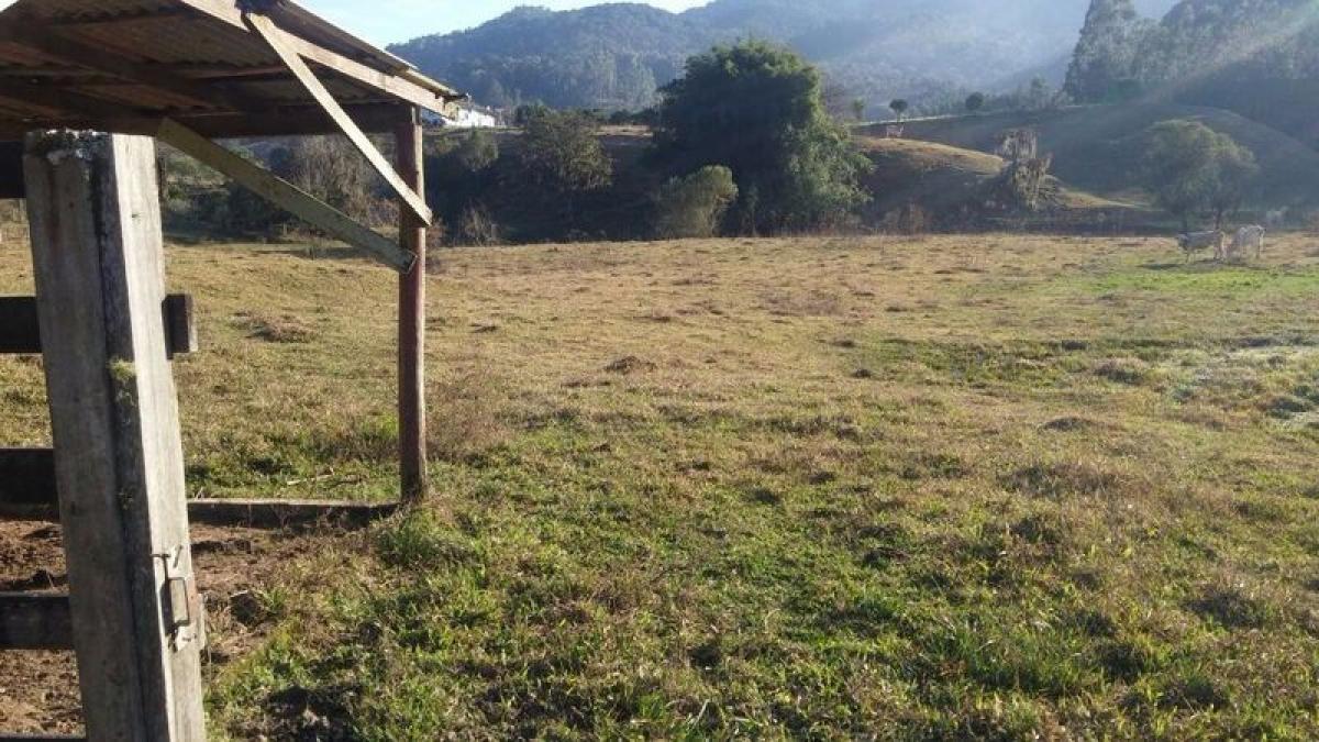 Picture of Farm For Sale in Santa Catarina, Santa Catarina, Brazil