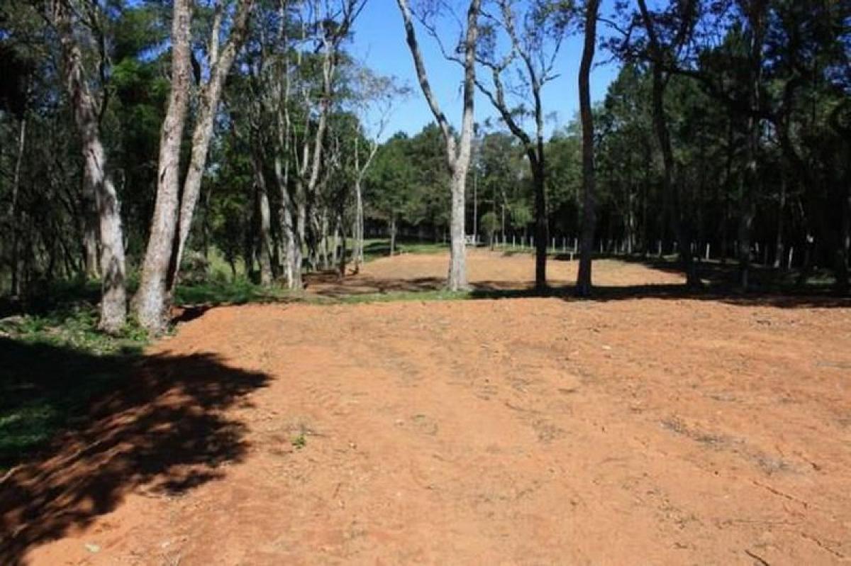 Picture of Residential Land For Sale in Ibiuna, Sao Paulo, Brazil