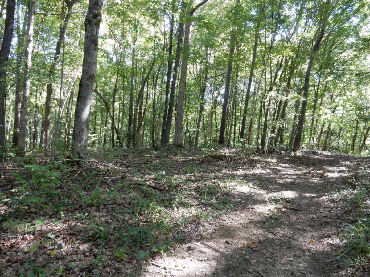 Picture of Raw Land For Sale in Charlotte, Tennessee, United States