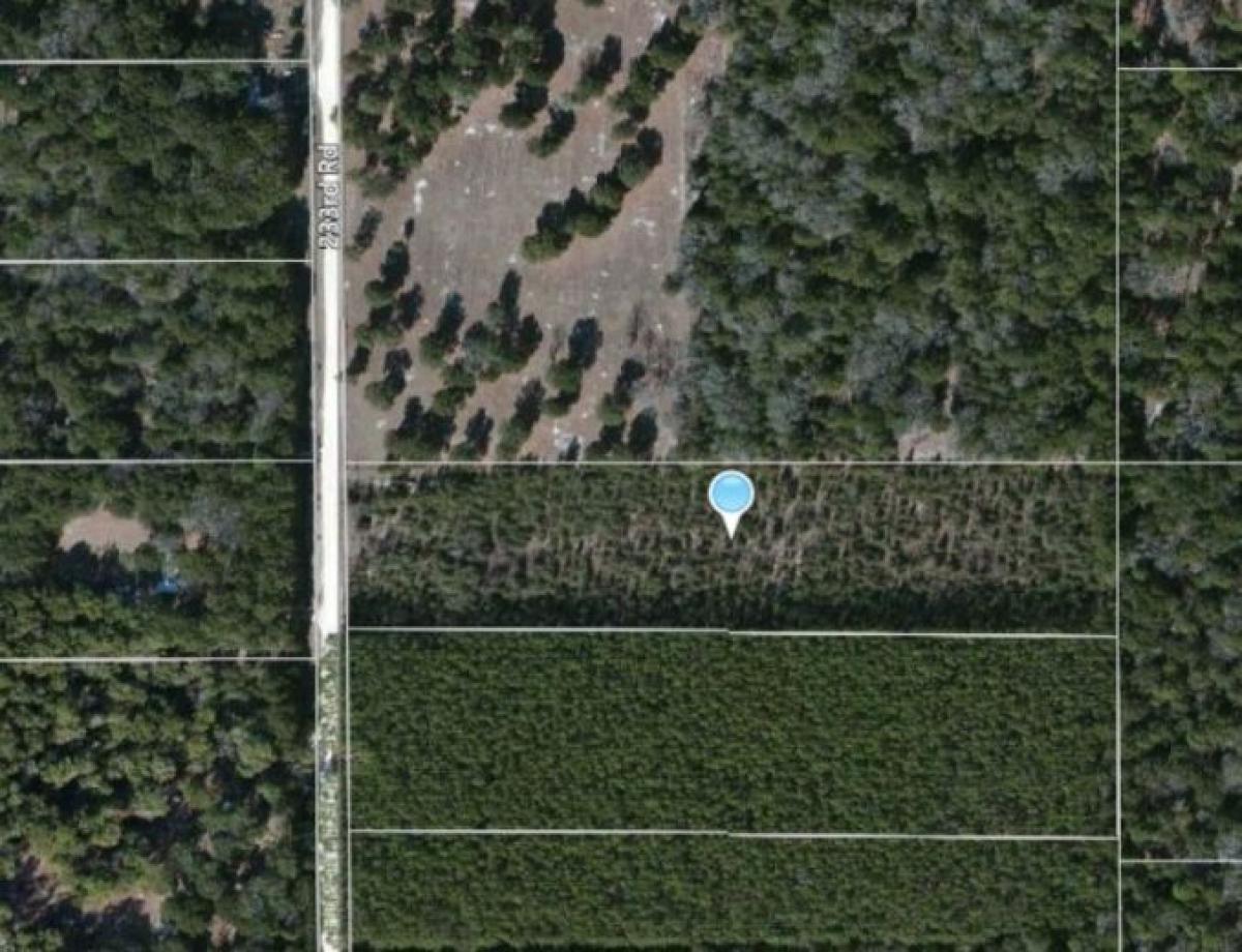 Picture of Raw Land For Sale in Live Oak, Florida, United States