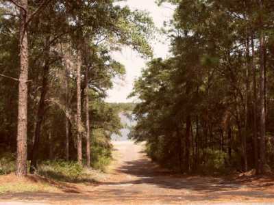 Residential Land For Sale in Chipley, Florida