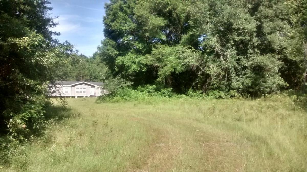 Picture of Residential Land For Sale in Archer, Florida, United States