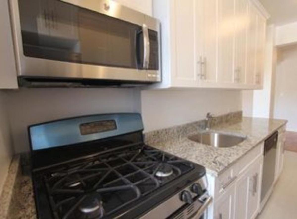 Picture of Apartment For Rent in Forest Hills, New York, United States