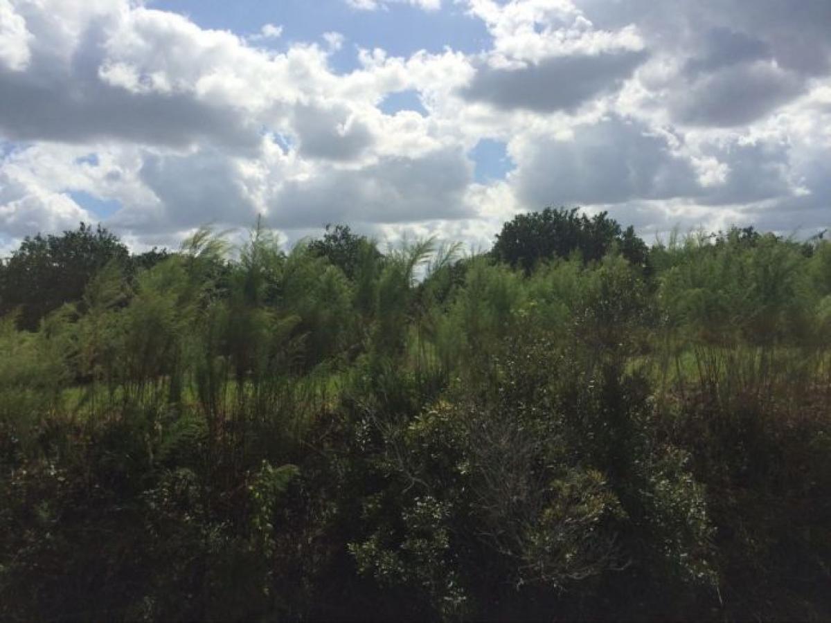 Picture of Residential Land For Sale in Lorida, Florida, United States