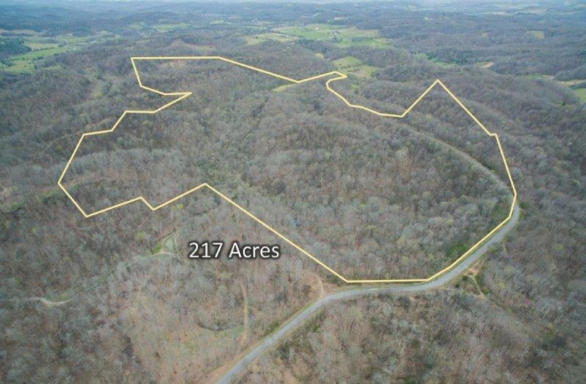 Picture of Raw Land For Sale in Columbia, Tennessee, United States