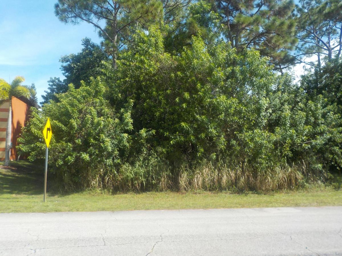 Picture of Residential Land For Sale in Port Saint Lucie, Florida, United States