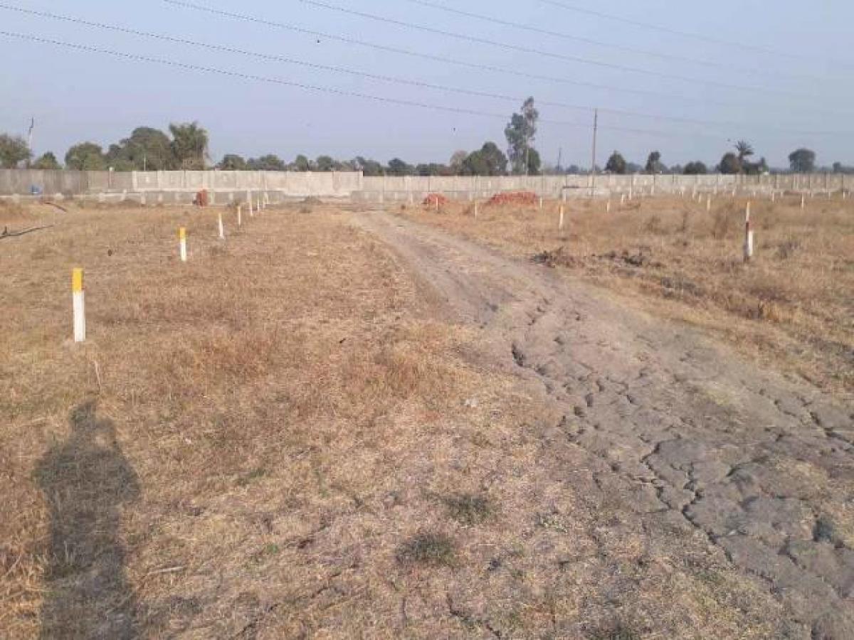 Picture of Residential Land For Sale in Indore, Indore, India