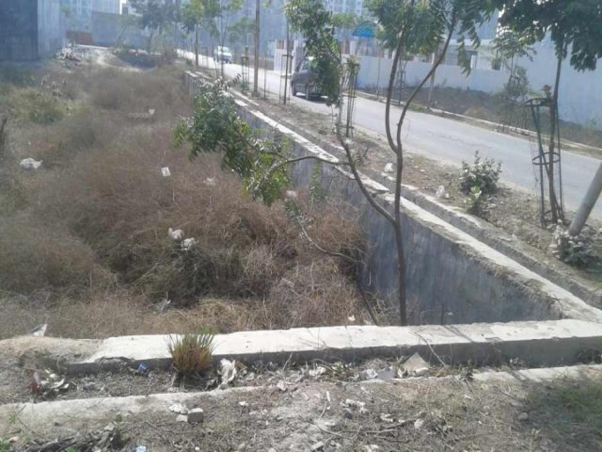 Picture of Residential Land For Sale in Noida, Uttar Pradesh, India