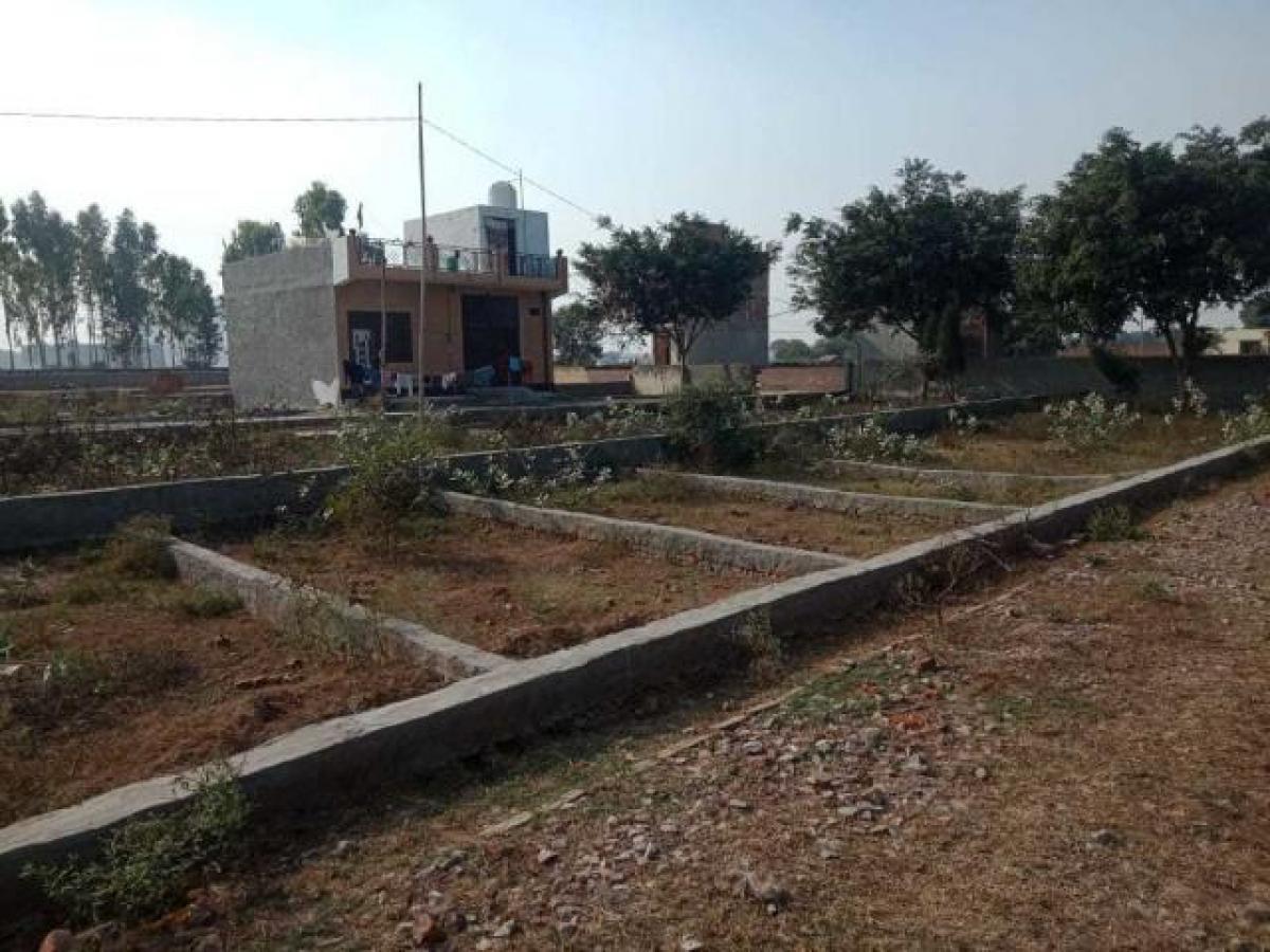 Picture of Residential Land For Sale in Noida, Uttar Pradesh, India