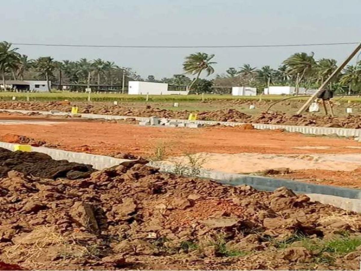 Picture of Residential Land For Sale in Nellore, Andhra Pradesh, India