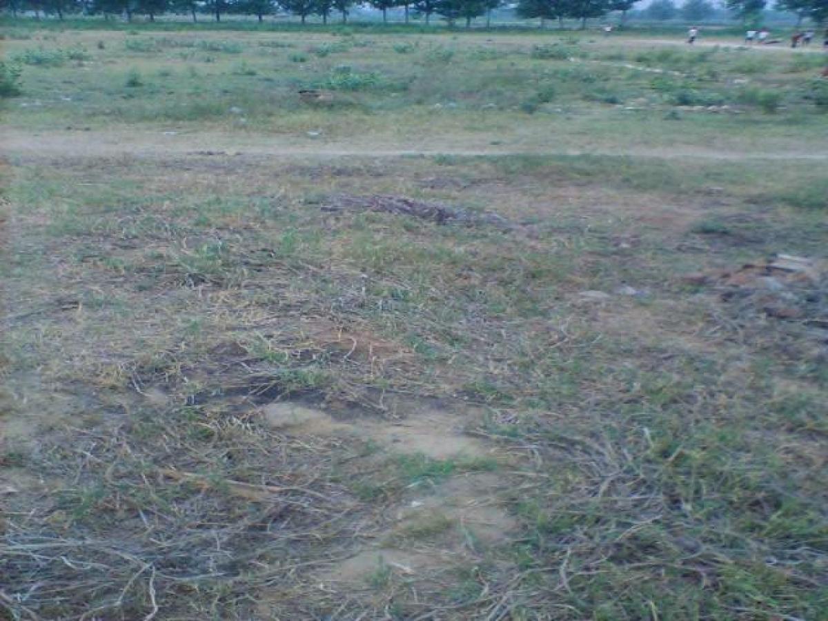 Picture of Residential Land For Sale in Noida, Uttar Pradesh, India