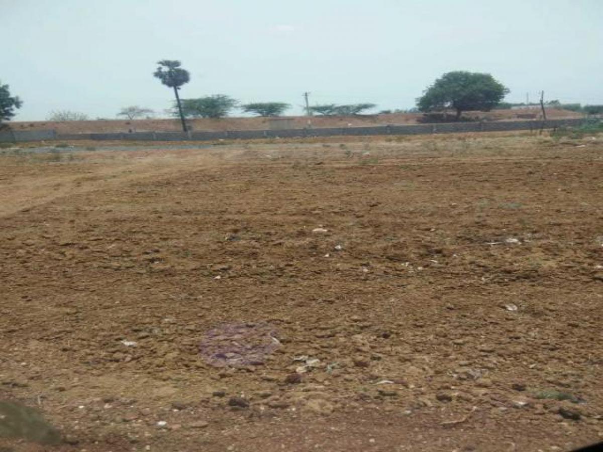 Picture of Residential Land For Sale in Nellore, Andhra Pradesh, India