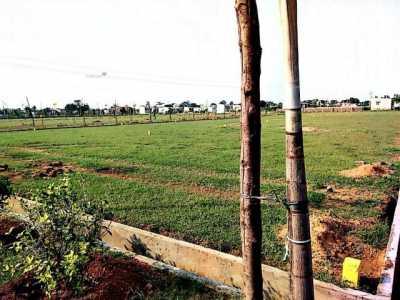 Residential Land For Sale in Nellore, India