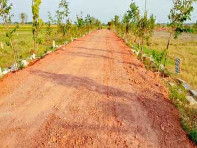 Residential Land For Sale in Nellore, India