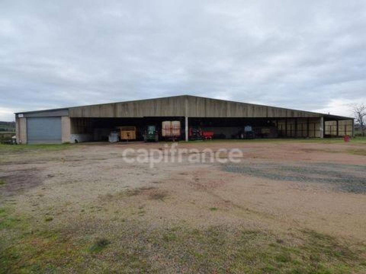 Picture of Office For Sale in Marcigny, Bourgogne, France