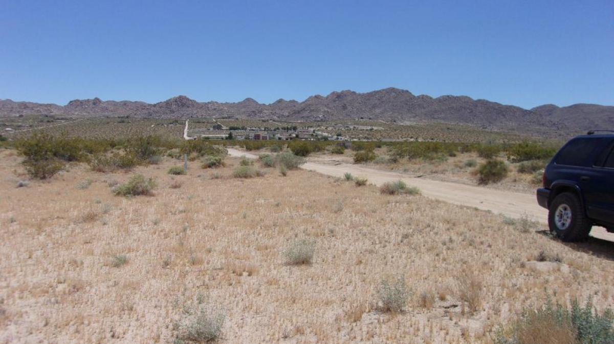 Picture of Residential Land For Sale in Joshua Tree, California, United States