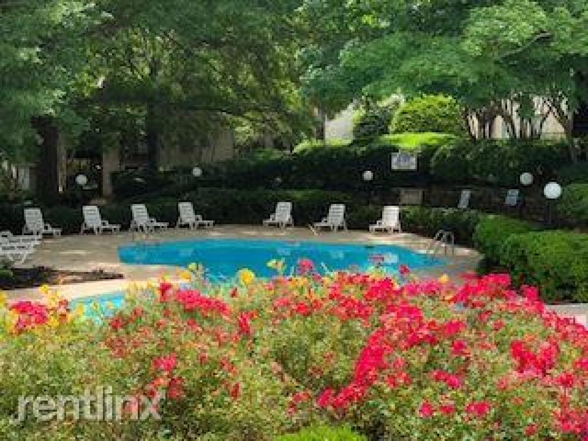 Picture of Apartment For Rent in Greenville, South Carolina, United States