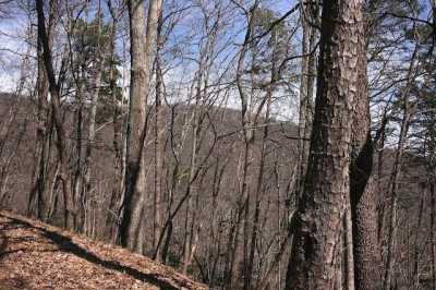 Residential Land For Sale in Big Canoe, Georgia