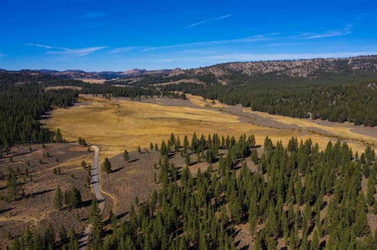 Picture of Residential Land For Sale in Chilcoot, California, United States