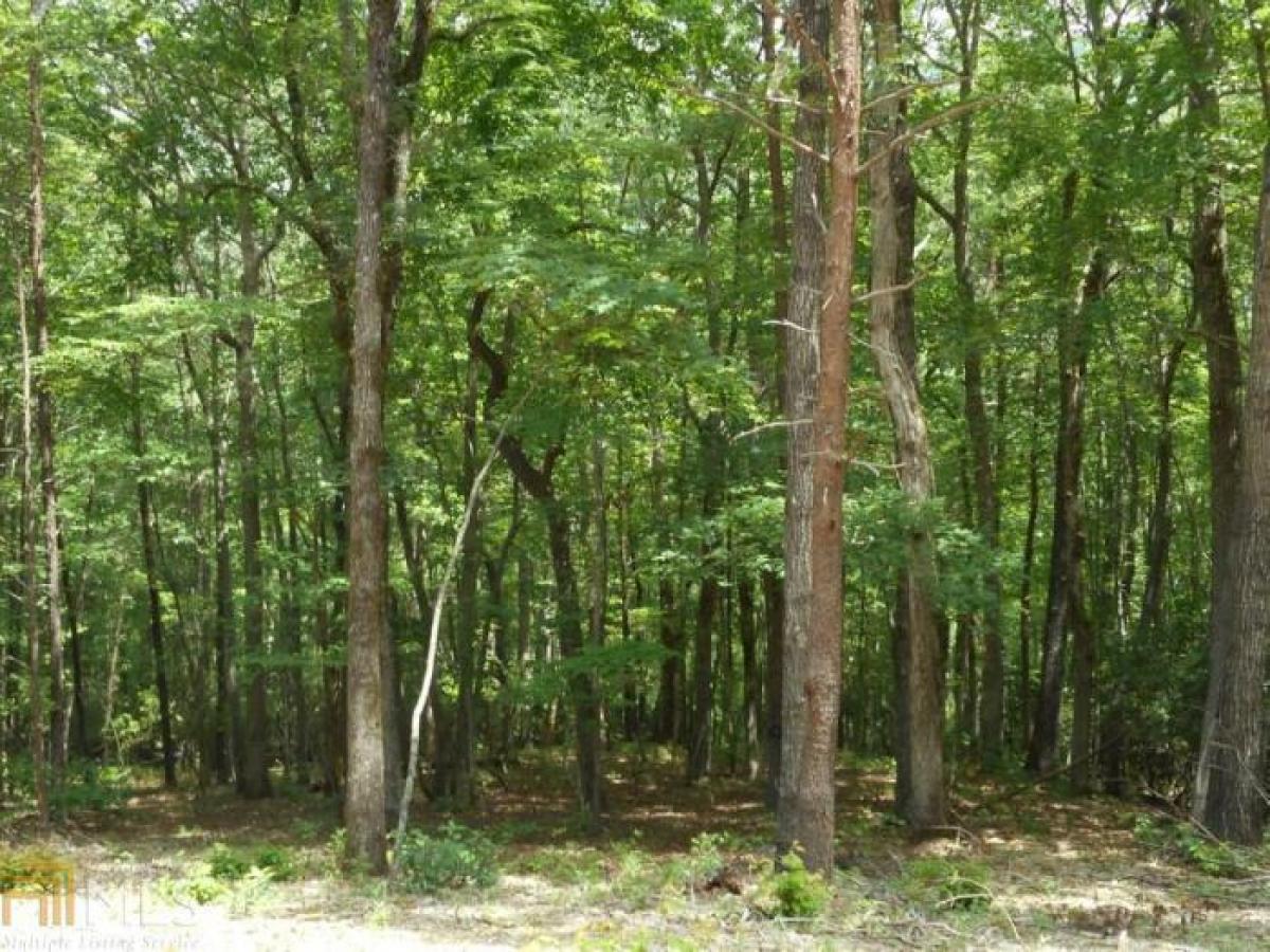 Picture of Farm For Sale in Clarkesville, Georgia, United States