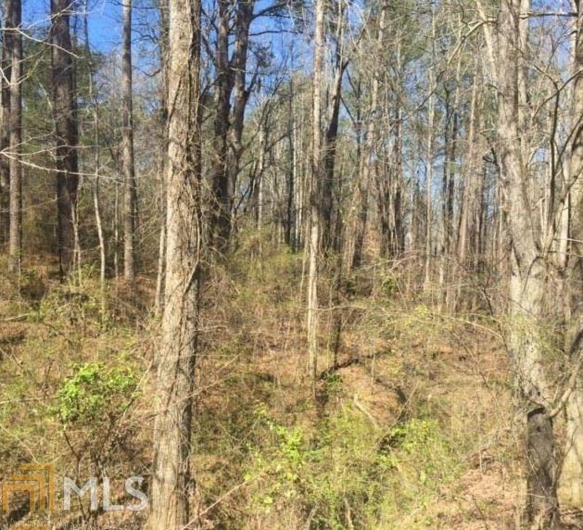 Picture of Farm For Sale in Douglasville, Georgia, United States