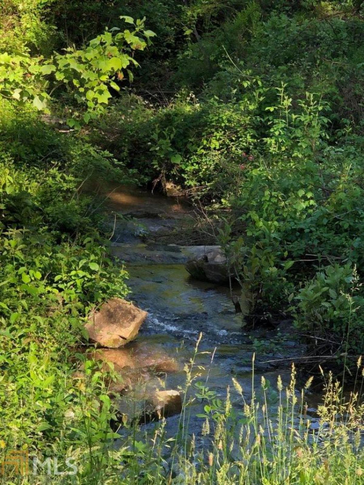 Picture of Farm For Sale in Mineral Bluff, Georgia, United States