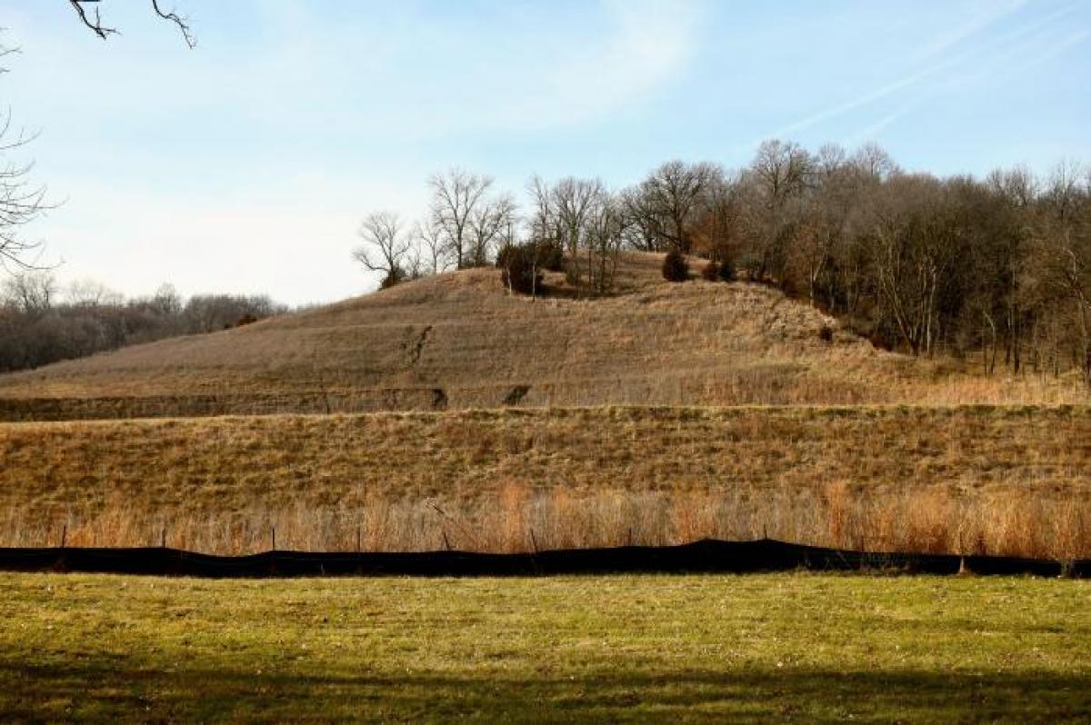 Picture of Residential Land For Sale in Council Bluffs, Iowa, United States