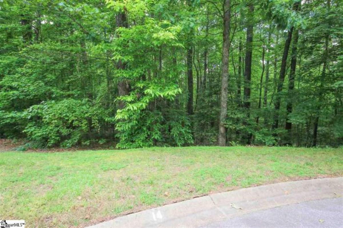 Picture of Residential Land For Sale in Marietta, South Carolina, United States