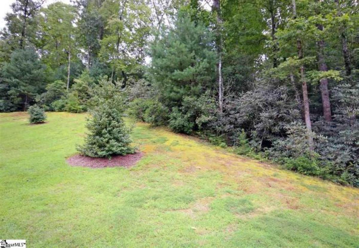 Picture of Residential Land For Sale in Marietta, South Carolina, United States