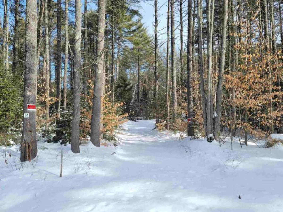 Picture of Residential Land For Sale in Conway, New Hampshire, United States