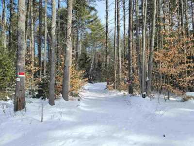 Residential Land For Sale in Conway, New Hampshire