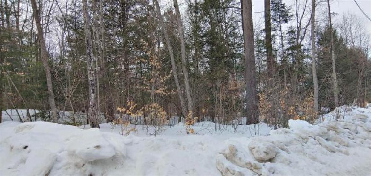 Picture of Residential Land For Sale in Bartlett, New Hampshire, United States