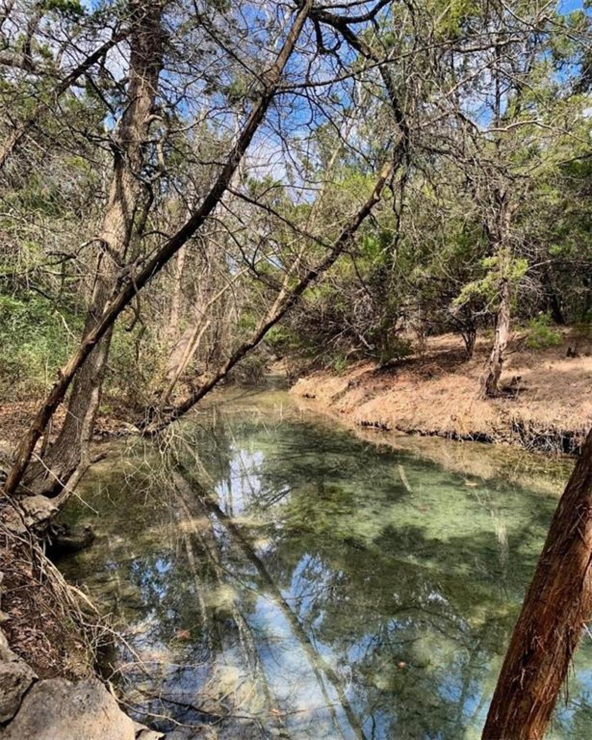 Picture of Residential Land For Sale in Austin, Texas, United States