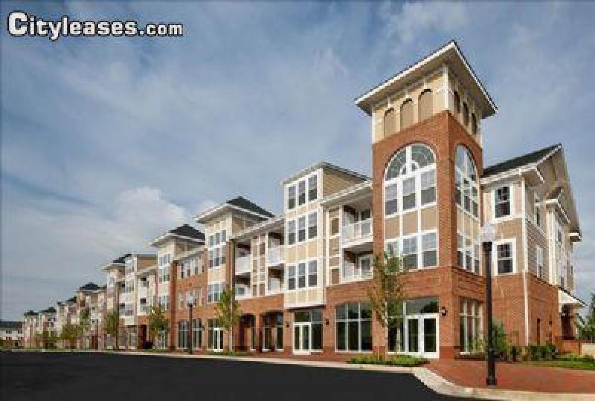 Picture of Apartment For Rent in Saint Charles, Maryland, United States