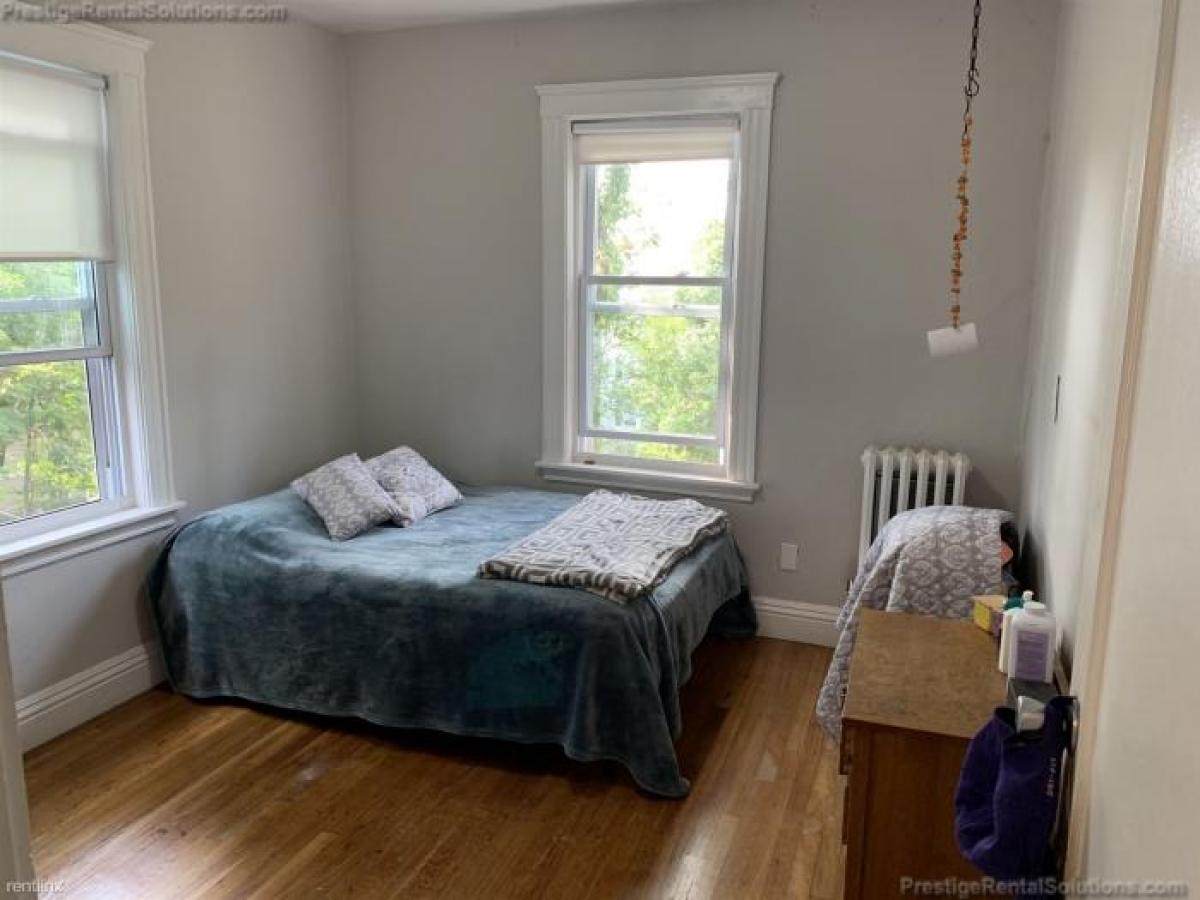 Picture of Apartment For Rent in Jamaica Plain, Massachusetts, United States