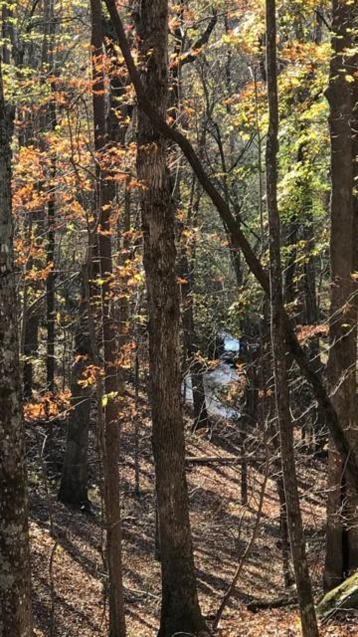 Picture of Residential Land For Sale in Baldwin, Georgia, United States