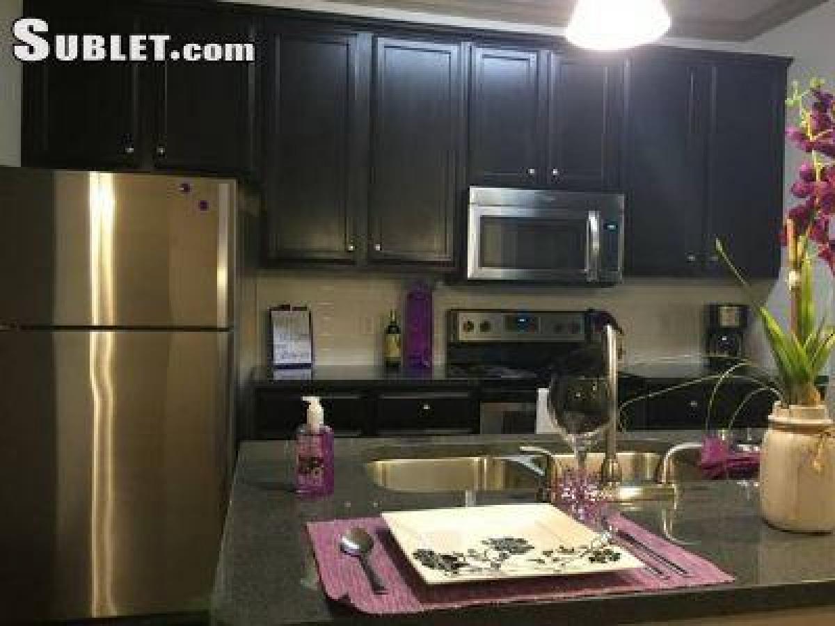 Picture of Apartment For Rent in Montgomery, Texas, United States